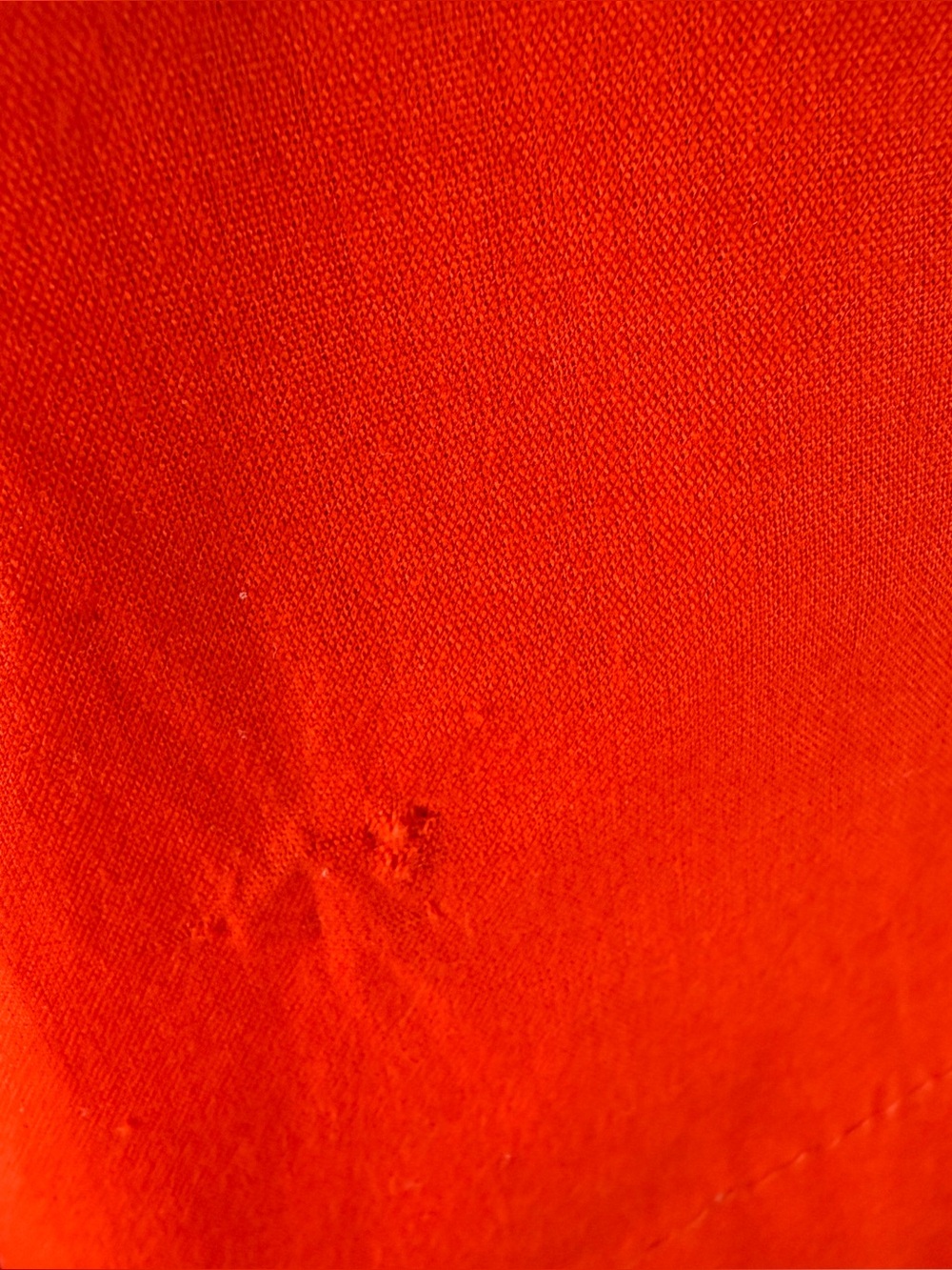 NEW Farm Rio Tailored Cotton High Rise Shorts in Orange - Picture 8 of 8